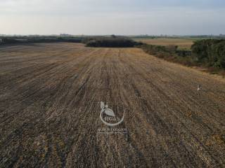 Venta  Colonia Carmelo