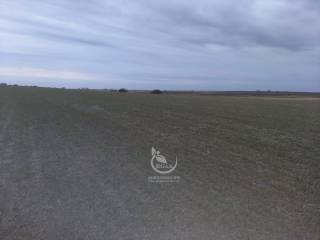 Venta  Soriano La Agraciada