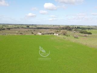 Venta  Florida Departamento