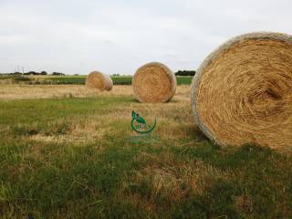 Venta  Canelones Departamento