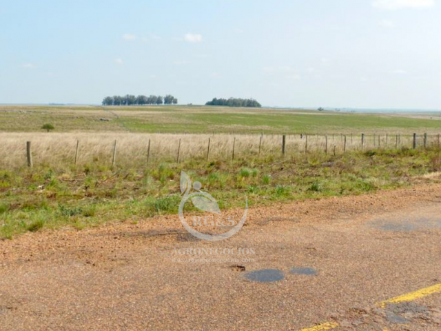 Frente sobre ruta pavimentada
