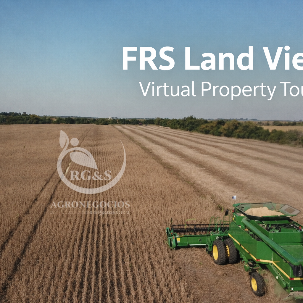 FRS Land View Services