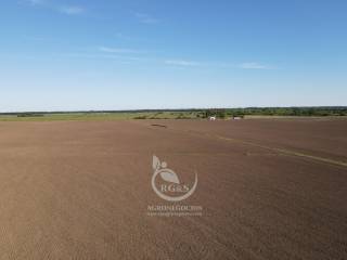 Venta  San Jos Rincn del Pino