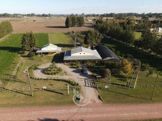 Venta  Colonia Carmelo