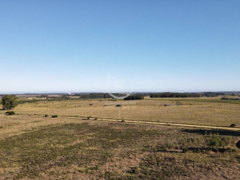 Camino vecinal frente al lote