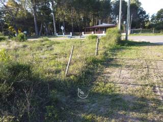 Venta  Colonia Nueva Palmira